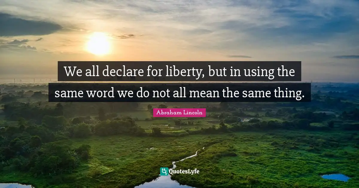 We all declare for liberty, but in using the same word we do not all mean the same thing.