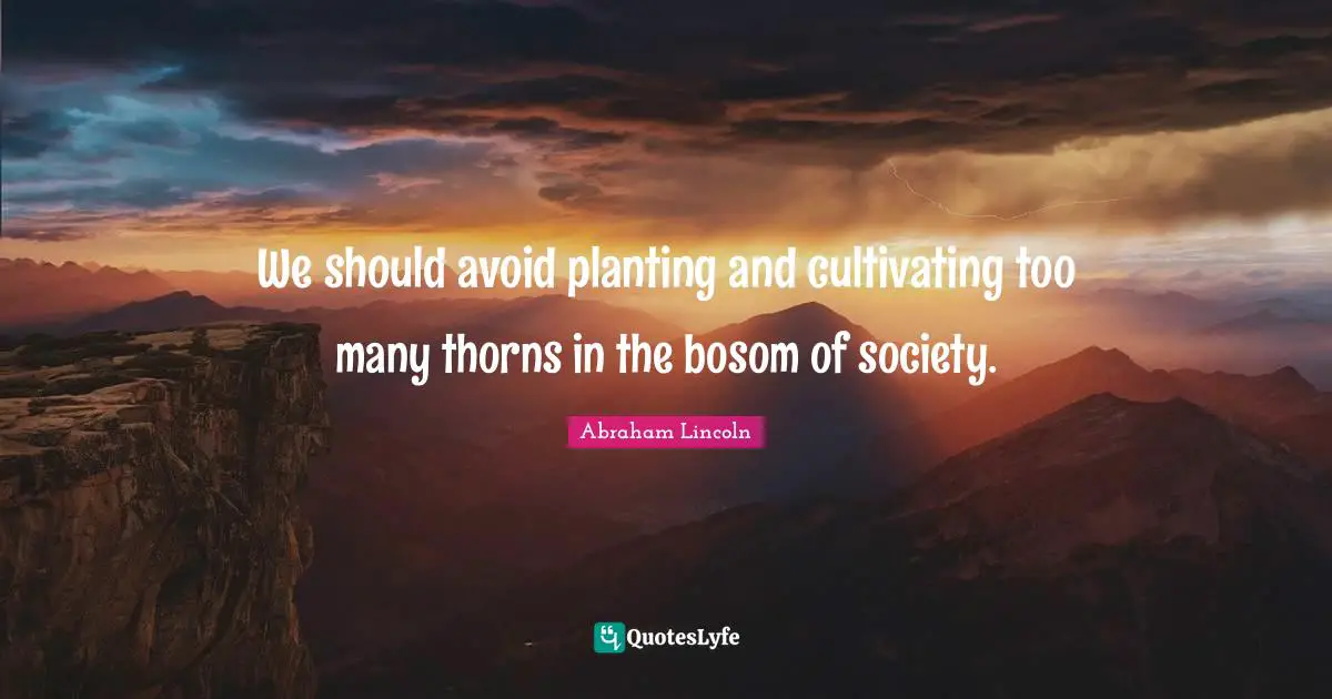 We should avoid planting and cultivating too many thorns in the bosom of society.