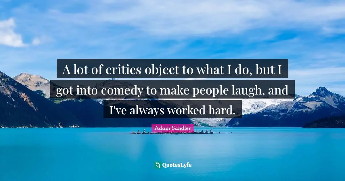 A lot of critics object to what I do, but I got into comedy to make people laugh, and I've always worked hard.