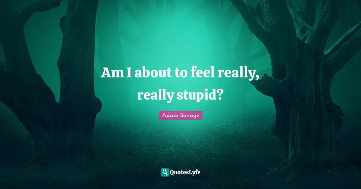 Really Stupid Quotes: "Am I about to feel really, really stupid?"