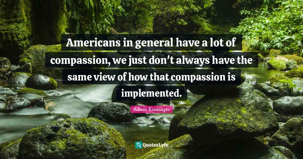 Americans in general have a lot of compassion, we just don't always have the same view of how that compassion is implemented.
