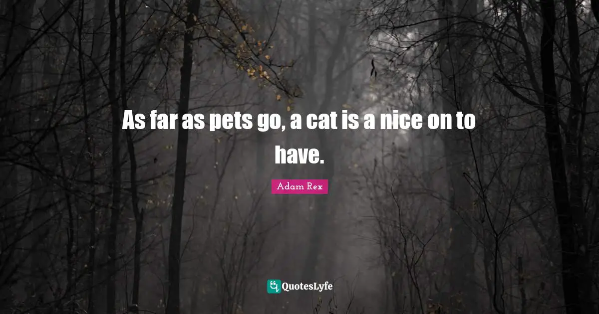 As far as pets go, a cat is a nice on to have.