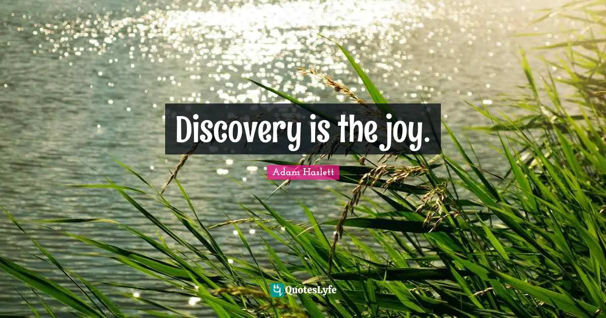 Discovery is the joy.