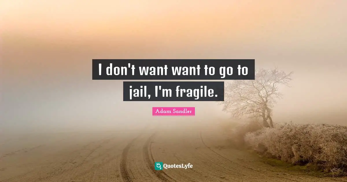 I don't want want to go to jail, I'm fragile.