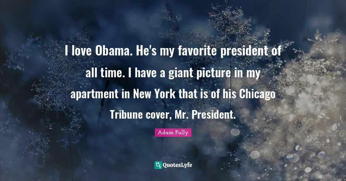 I love Obama. He's my favorite president of all time. I have a giant picture in my apartment in New York that is of his Chicago Tribune cover, Mr. President.