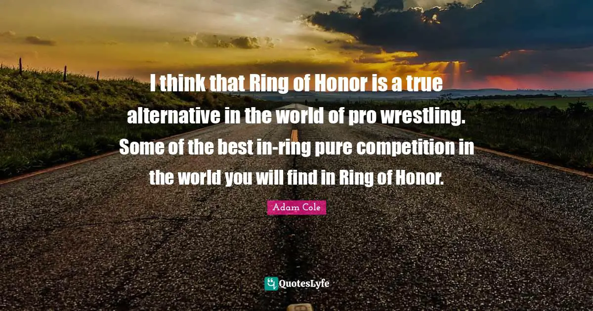 I think that Ring of Honor is a true alternative in the world of pro wrestling. Some of the best in-ring pure competition in the world you will find in Ring of Honor.