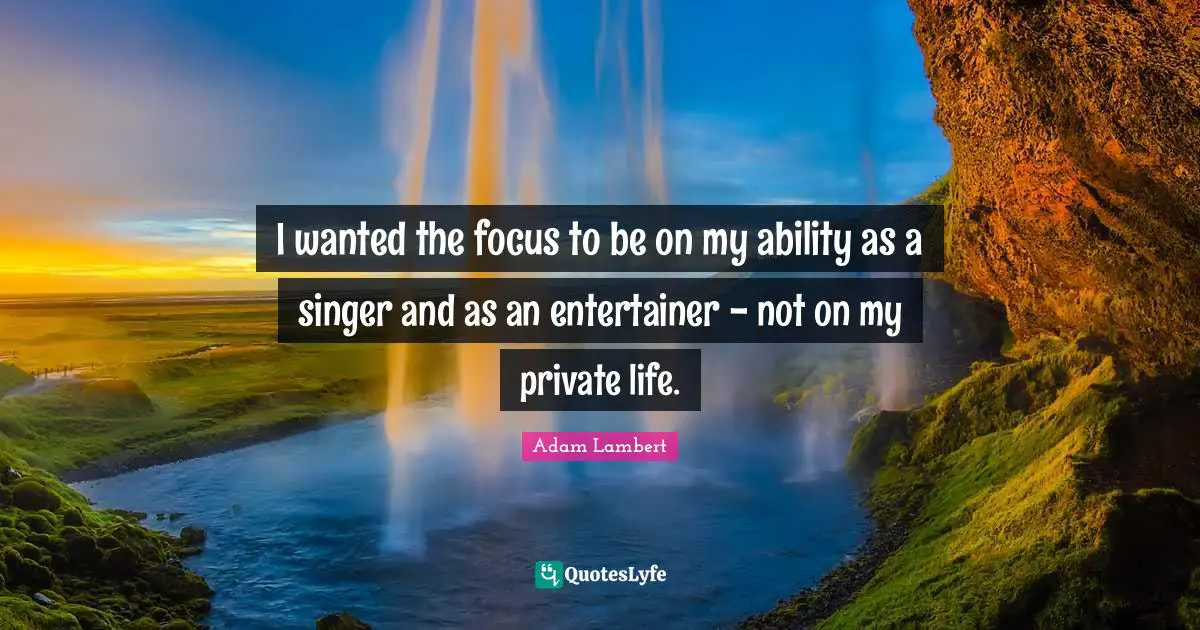 I wanted the focus to be on my ability as a singer and as an entertainer - not on my private life.