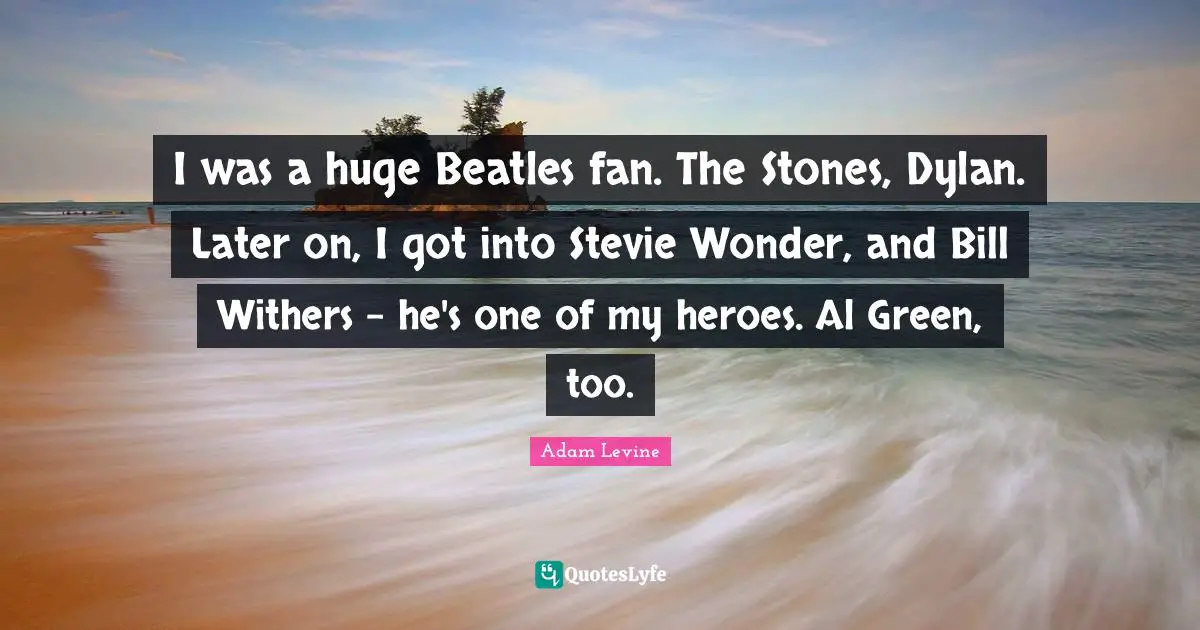 I was a huge Beatles fan. The Stones, Dylan. Later on, I got into Stevie Wonder, and Bill Withers - he's one of my heroes. Al Green, too.