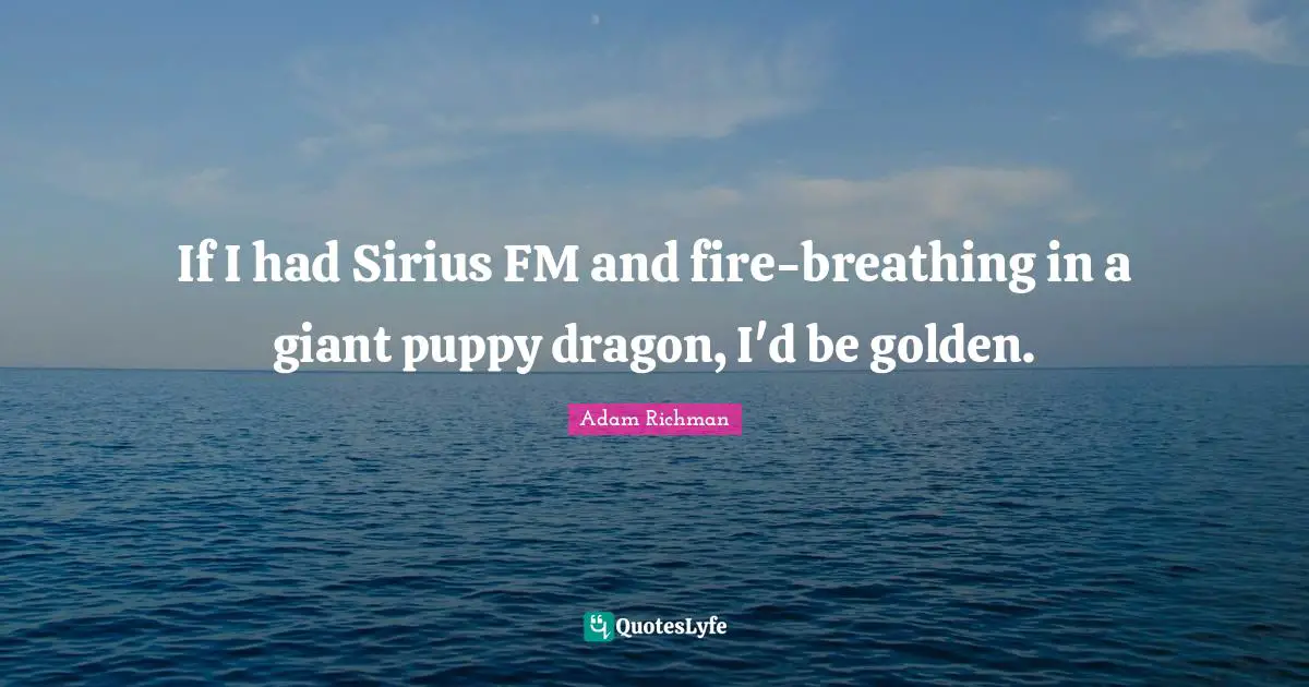 If I had Sirius FM and fire-breathing in a giant puppy dragon, I'd be golden.