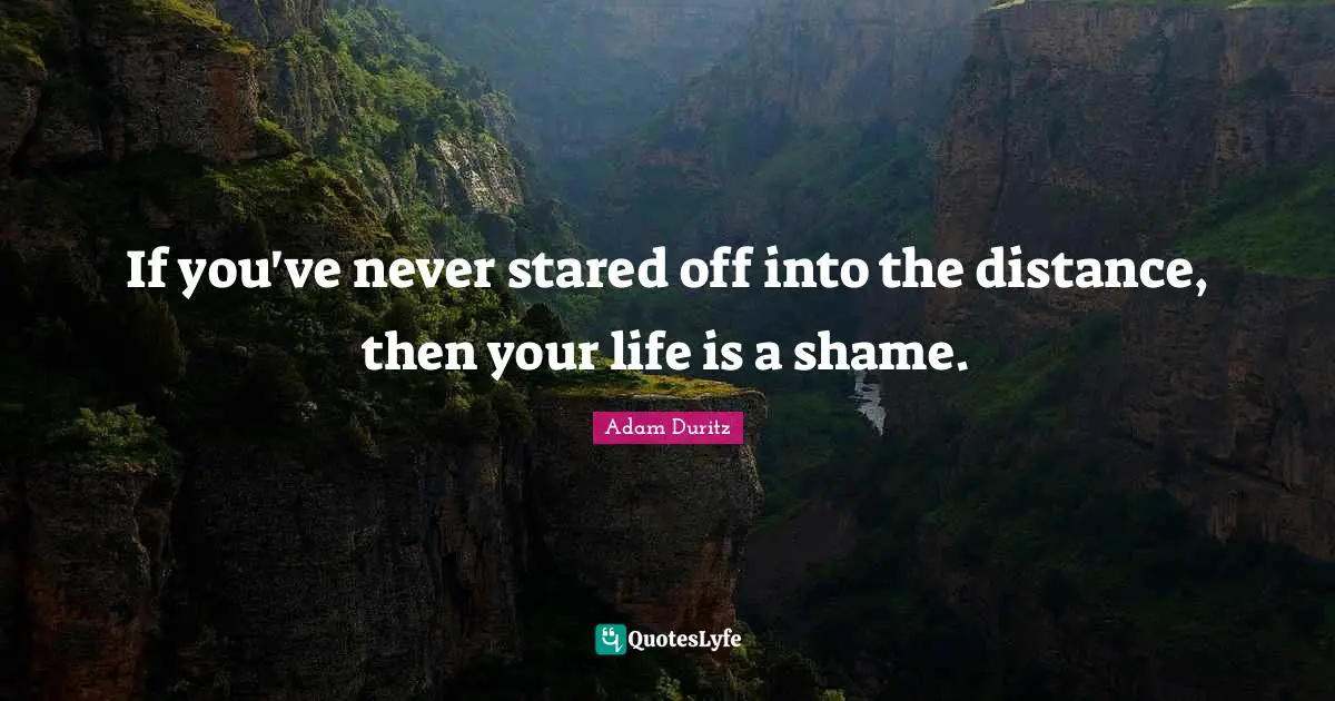 If you've never stared off into the distance, then your life is a shame.