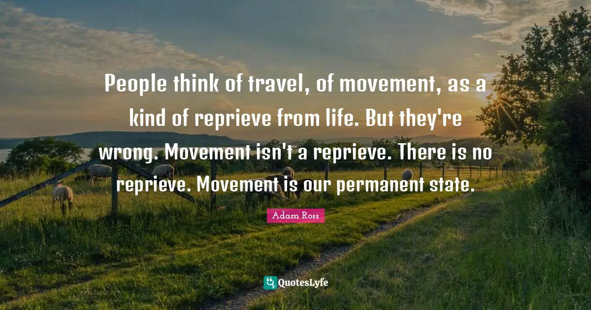 People think of travel, of movement, as a kind of reprieve from life. But they're wrong. Movement isn't a reprieve. There is no reprieve. Movement is our permanent state.