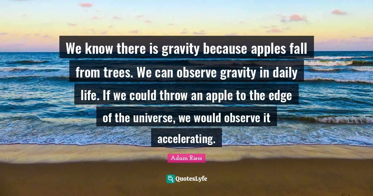 Adam Riess Quotes: "We know there is gravity because apples fall from trees. We can observe gravity in daily life. If we could throw an apple to the edge of the universe, we would observe it accelerating."