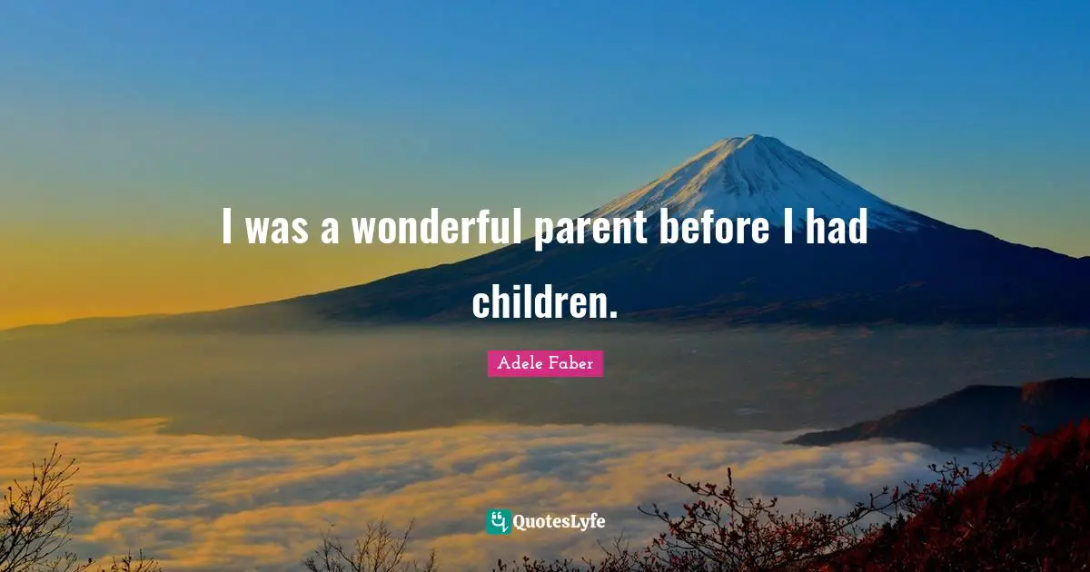 I was a wonderful parent before I had children.