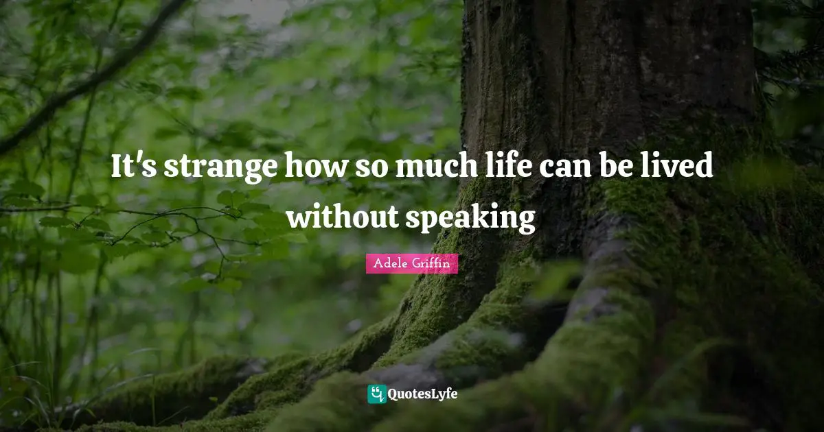 It's strange how so much life can be lived without speaking