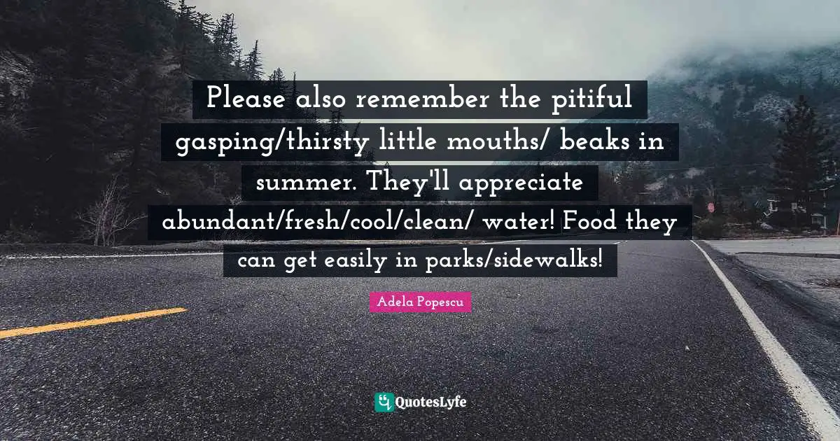 Please also remember the pitiful gasping/thirsty little mouths/ beaks in summer. They'll appreciate abundant/fresh/cool/clean/ water! Food they can get easily in parks/sidewalks!