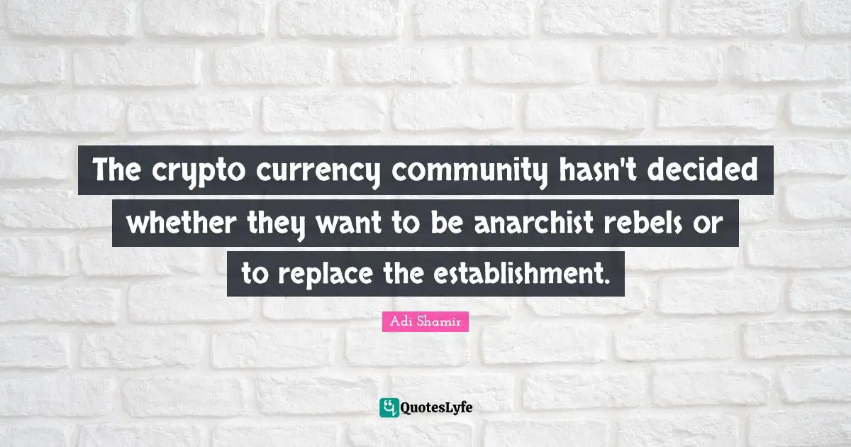 The crypto currency community hasn't decided whether they want to be anarchist rebels or to replace the establishment.