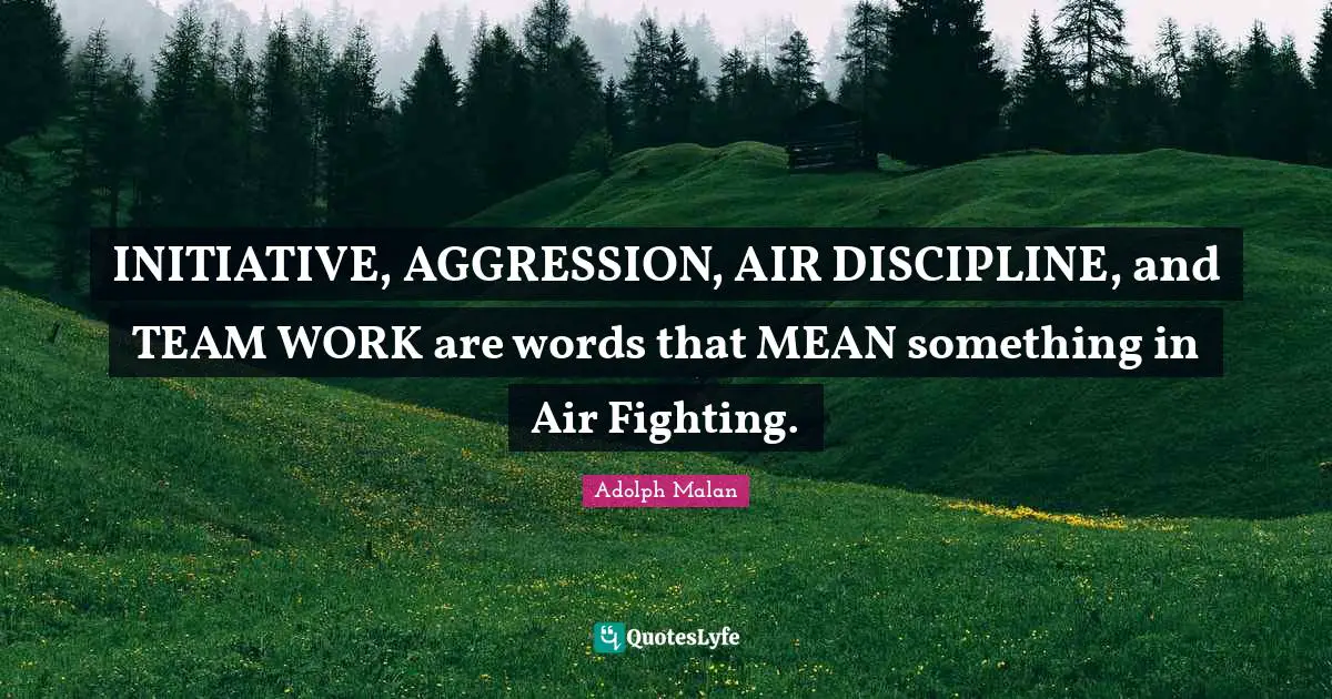 Adolph Malan Quotes: "INITIATIVE, AGGRESSION, AIR DISCIPLINE, and TEAM WORK are words that MEAN something in Air Fighting."