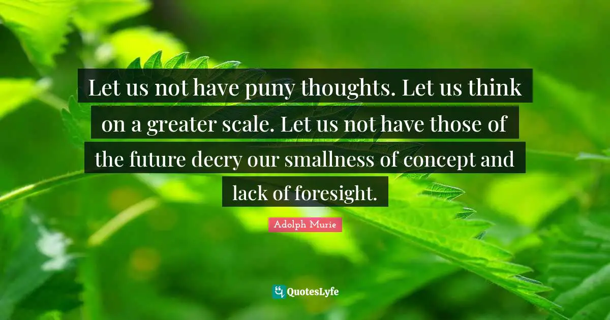 Let us not have puny thoughts. Let us think on a greater scale. Let us not have those of the future decry our smallness of concept and lack of foresight.