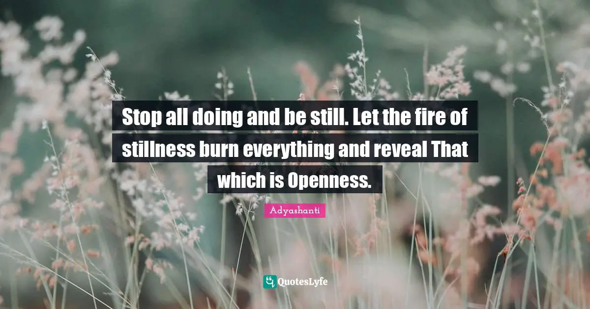 Stop all doing and be still. Let the fire of stillness burn everything and reveal That which is Openness.