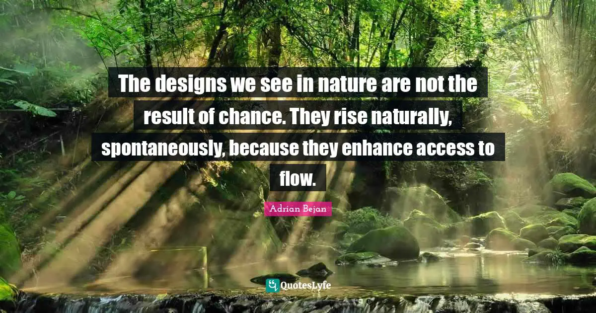 The designs we see in nature are not the result of chance. They rise naturally, spontaneously, because they enhance access to flow.