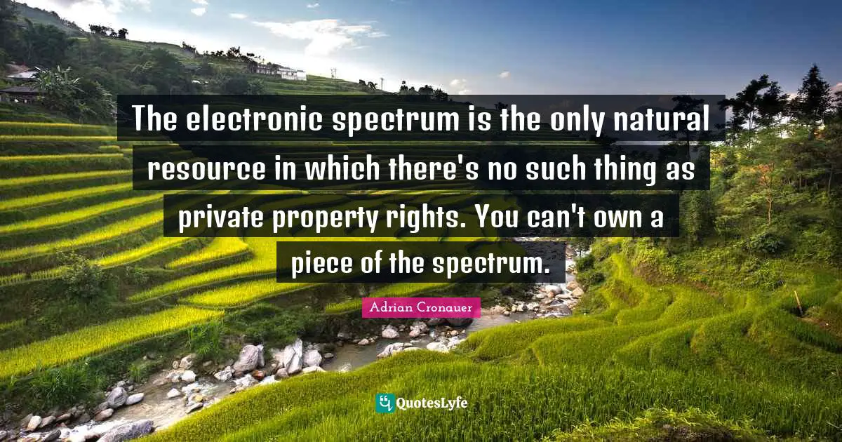 The electronic spectrum is the only natural resource in which there's no such thing as private property rights. You can't own a piece of the spectrum.