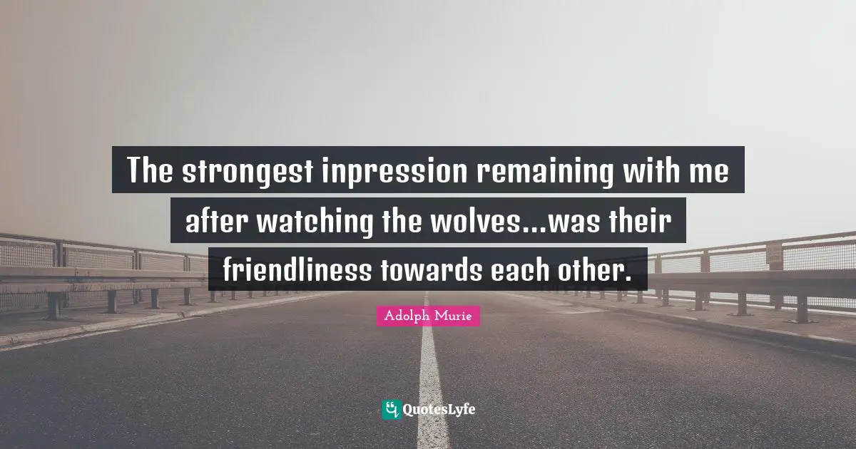 Adolph Murie Quotes: "The strongest inpression remaining with me after watching the wolves...was their friendliness towards each other."