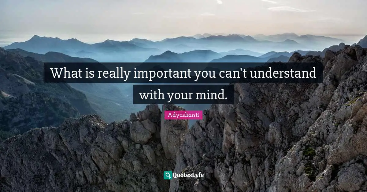 What is really important you can't understand with your mind.