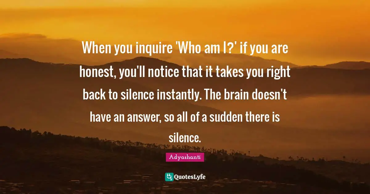 When you inquire 'Who am I?' if you are honest, you'll notice that it takes you right back to silence instantly. The brain doesn't have an answer, so all of a sudden there is silence.