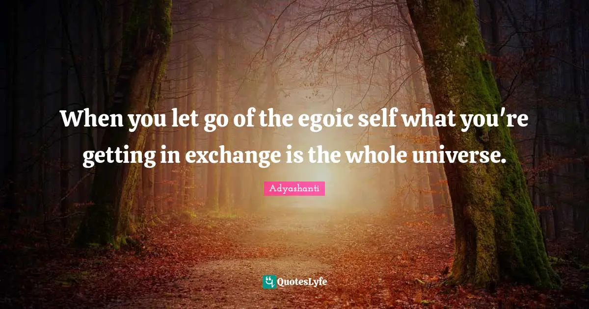 Adyashanti Quotes: "When you let go of the egoic self what you're getting in exchange is the whole universe."