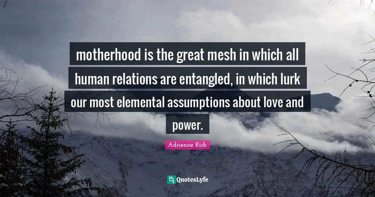 motherhood is the great mesh in which all human relations are entangled, in which lurk our most elemental assumptions about love and power.