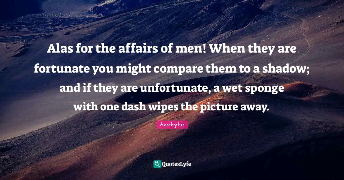 Alas for the affairs of men! When they are fortunate you might compare them to a shadow; and if they are unfortunate, a wet sponge with one dash wipes the picture away.