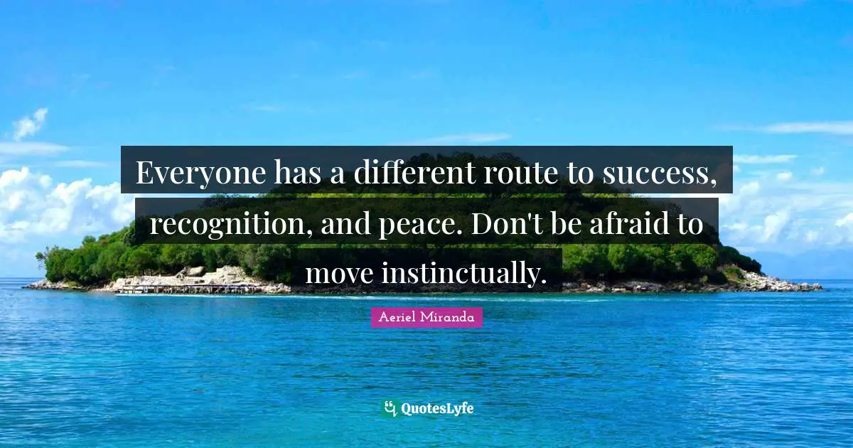 Everyone has a different route to success, recognition, and peace. Don't be afraid to move instinctually.