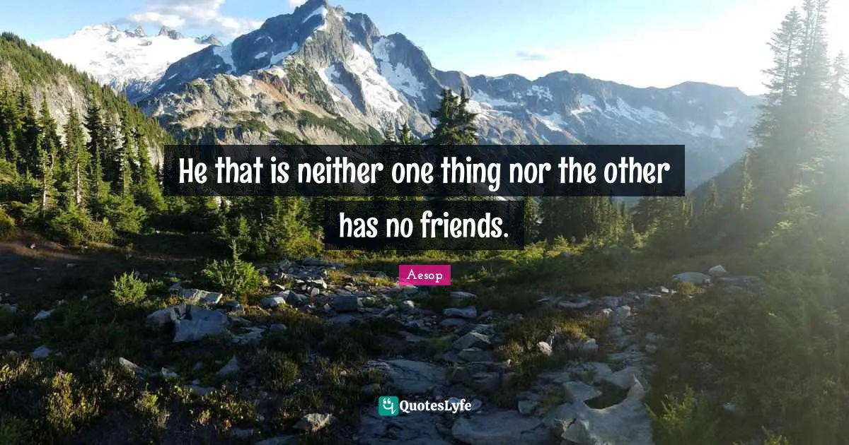 He that is neither one thing nor the other has no friends.