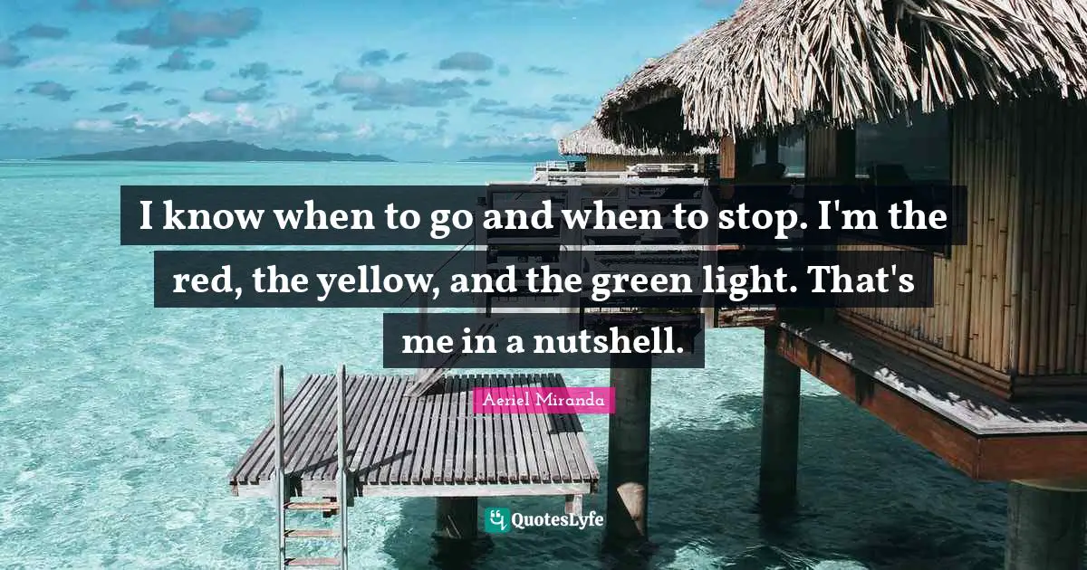 I know when to go and when to stop. I'm the red, the yellow, and the green light. That's me in a nutshell.