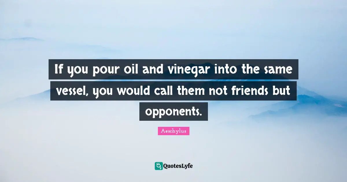 If you pour oil and vinegar into the same vessel, you would call them not friends but opponents.