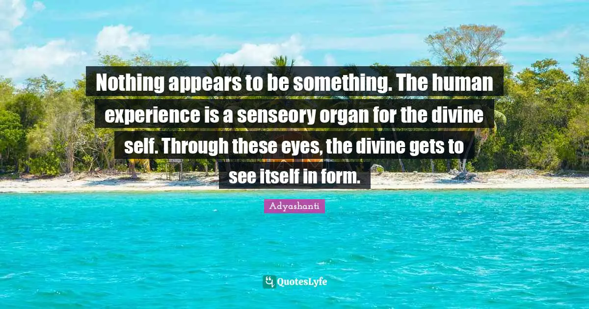 Nothing appears to be something. The human experience is a senseory organ for the divine self. Through these eyes, the divine gets to see itself in form.