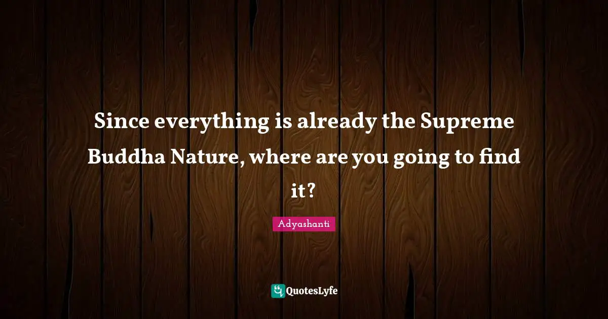 Since everything is already the Supreme Buddha Nature, where are you going to find it?