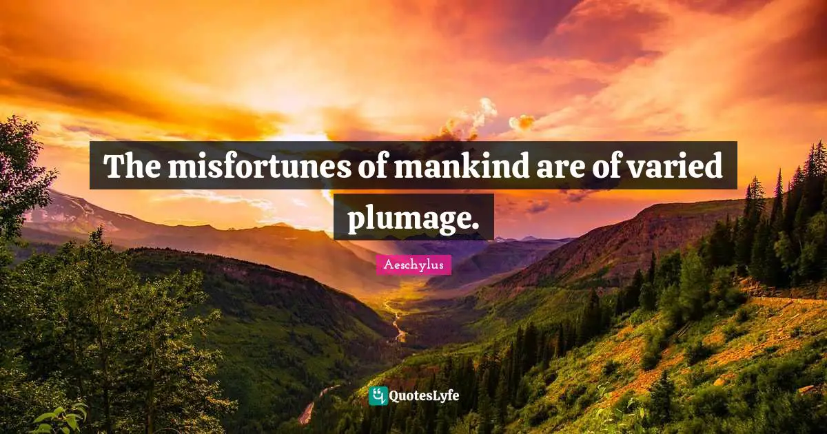 The misfortunes of mankind are of varied plumage.