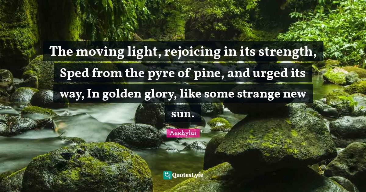 The moving light, rejoicing in its strength, Sped from the pyre of pine, and urged its way, In golden glory, like some strange new sun.