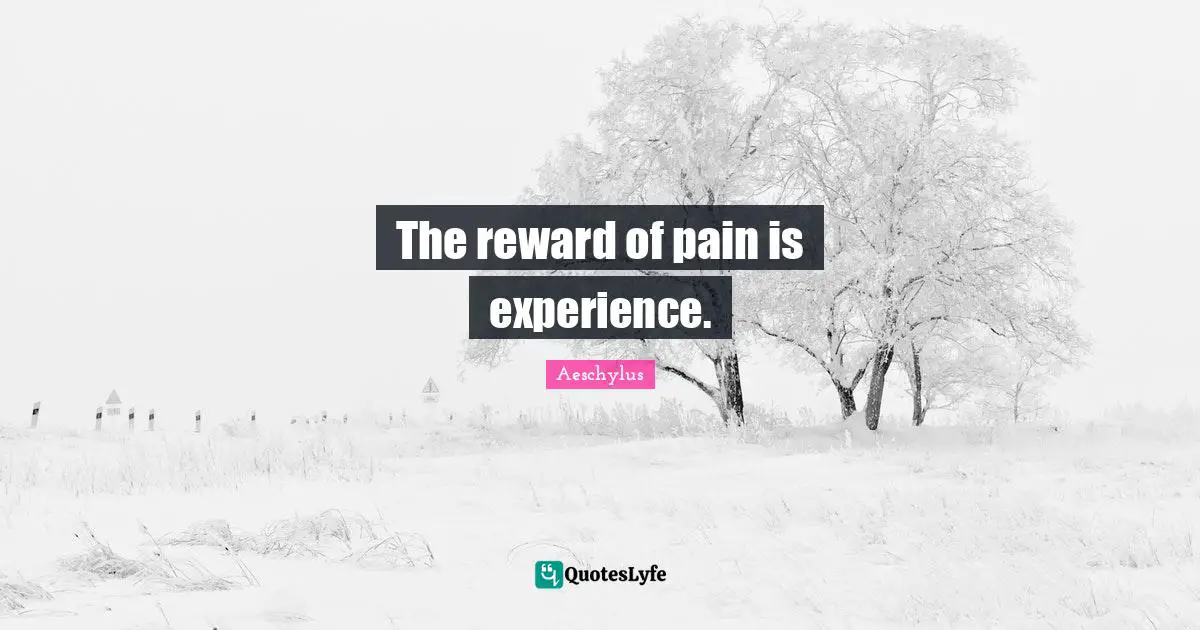 The reward of pain is experience.