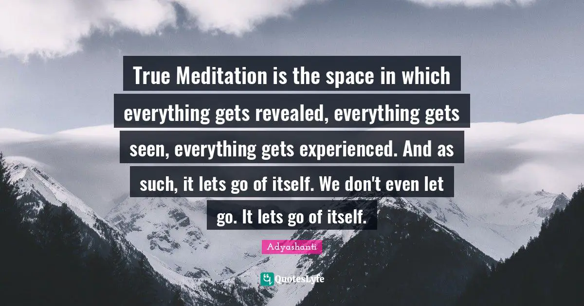 True Meditation is the space in which everything gets revealed, everything gets seen, everything gets experienced. And as such, it lets go of itself. We don't even let go. It lets go of itself.