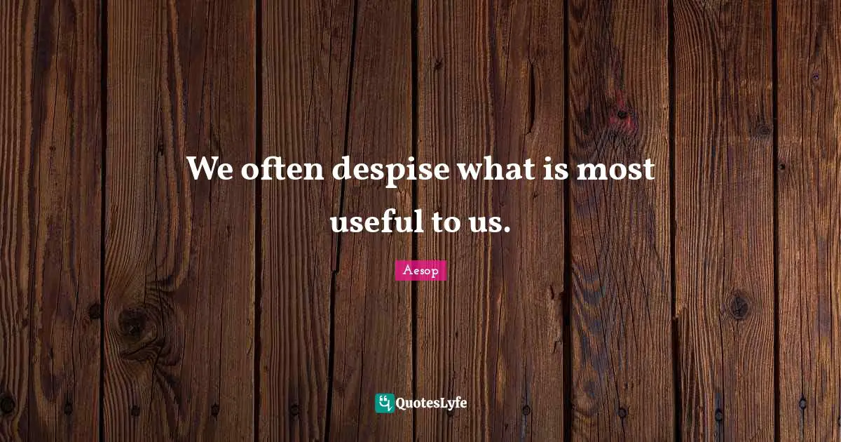 We often despise what is most useful to us.