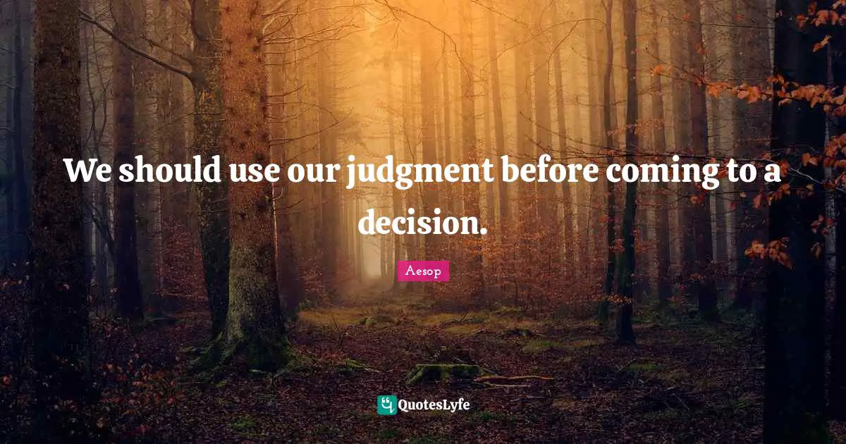 We should use our judgment before coming to a decision.