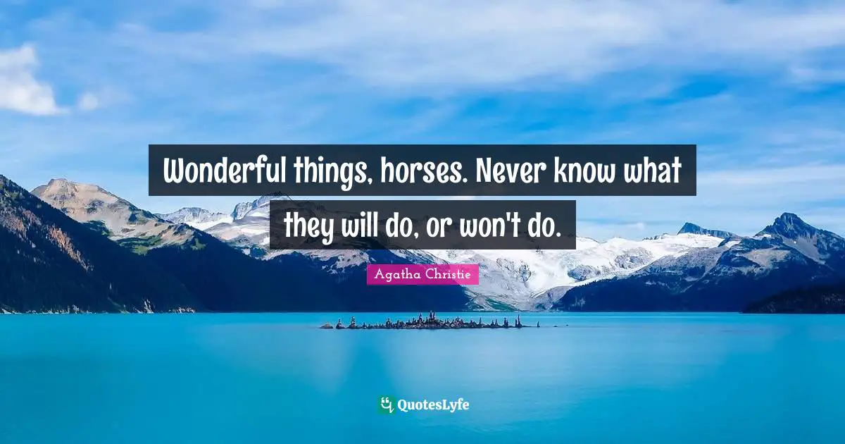 Wonderful things, horses. Never know what they will do, or won't do.