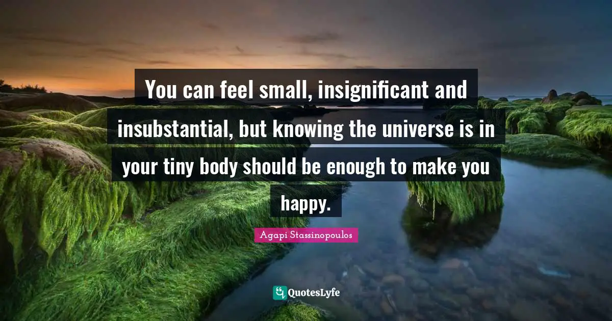 You can feel small, insignificant and insubstantial, but knowing the universe is in your tiny body should be enough to make you happy.