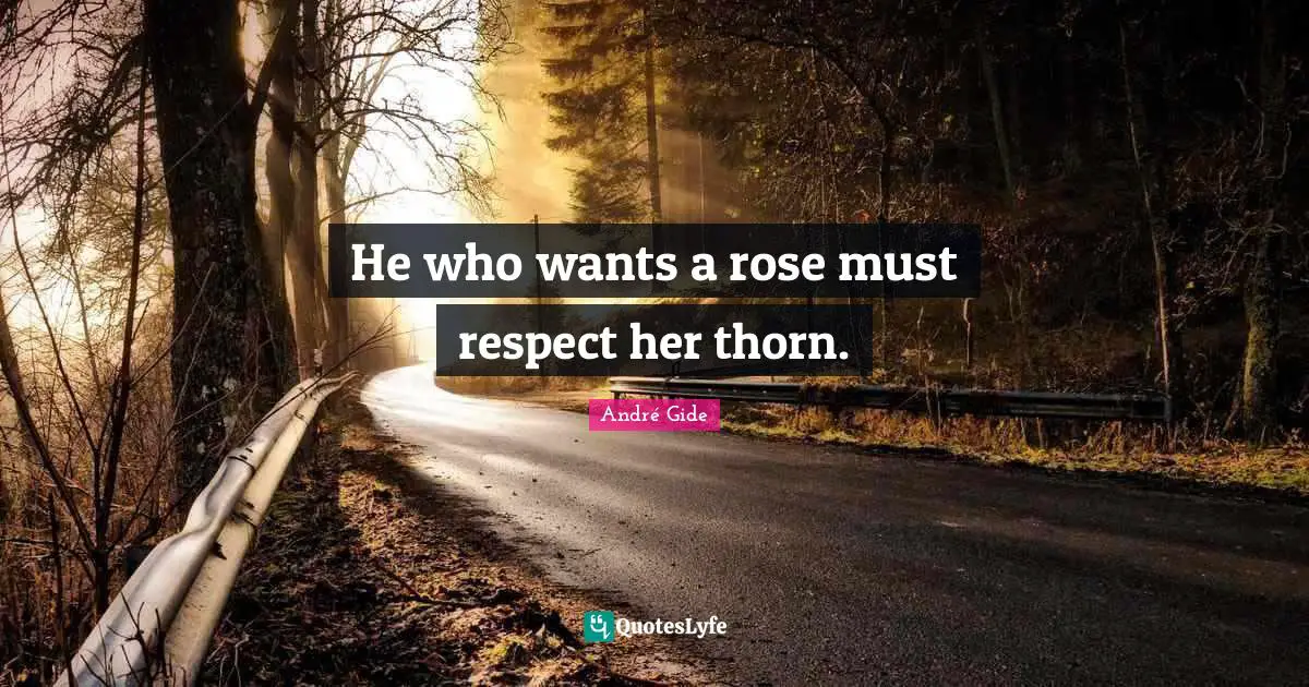 Rose Quotes: "He who wants a rose must respect her thorn."