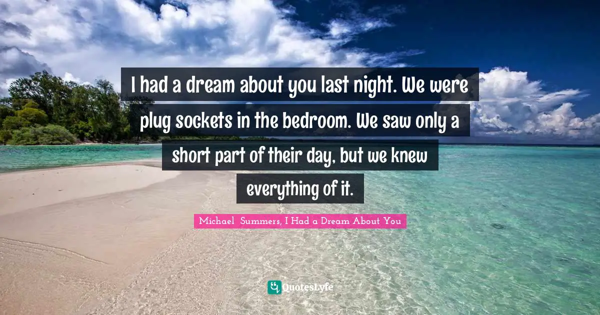 Michael  Summers, I Had A Dream About You Quotes: "I had a dream about you last night. We were plug sockets in the bedroom. We saw only a short part of their day, but we knew everything of it."