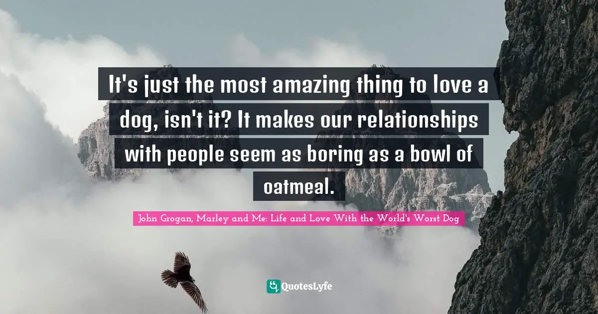 It's just the most amazing thing to love a dog, isn't it? It makes our relationships with people seem as boring as a bowl of oatmeal.