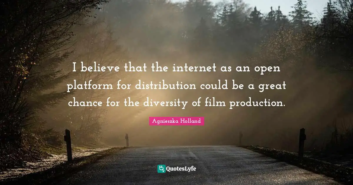 I believe that the internet as an open platform for distribution could be a great chance for the diversity of film production.