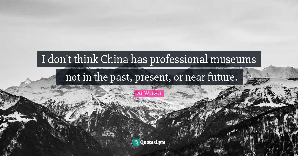 I don't think China has professional museums - not in the past, present, or near future.